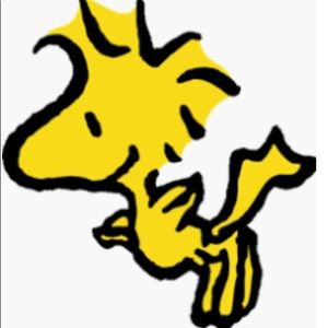 Woodstock Nursing Scrub Top